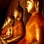 MINOLTA DIGITAL CAMERA