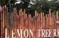 เลมอน ทรี รีสอร์ท (Lemon Tree Resort)